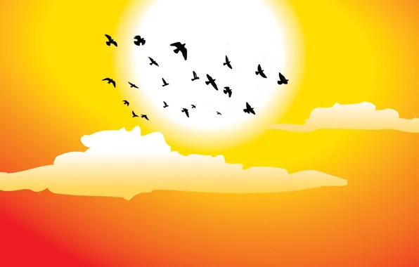 Picture the sun, clouds, birds, vector graphics