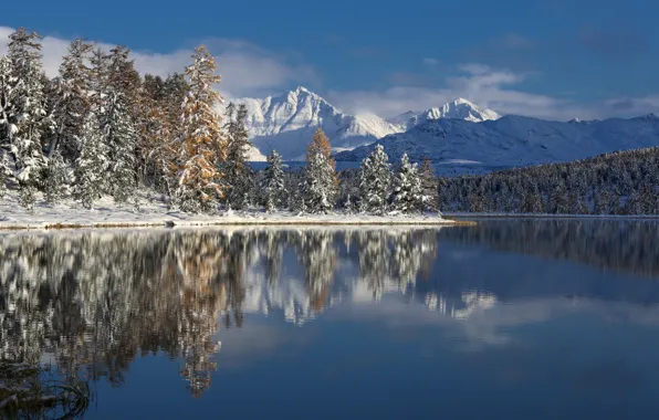 Winter, trees, mountains, lake, Altay, photographer Galina Khvostenko