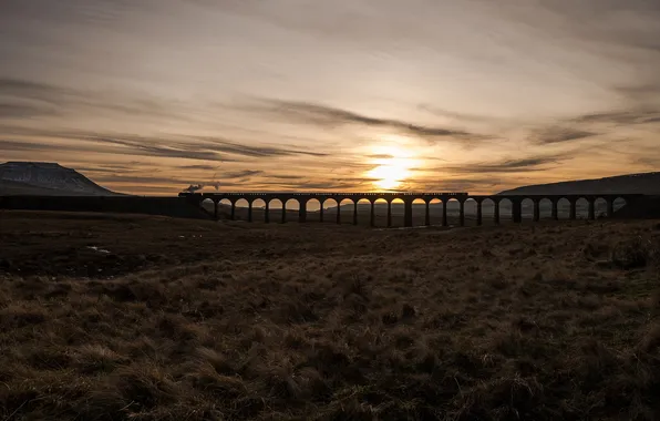 Landscape, bridge, train, morning