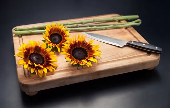 Picture flowers, background, knife