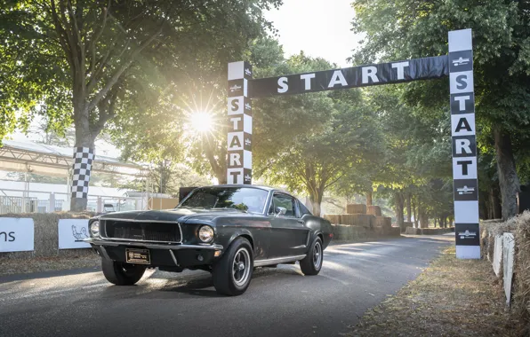 Ford, Fastback, 2018, 1968, Mustang GT, Bullitt, Goodwood