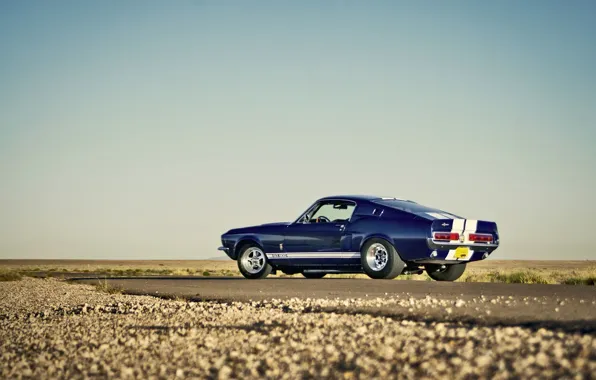 Picture road, the sky, desert, Mustang, Ford, Shelby, GT500, horizon, wheel, side, tail light, rear