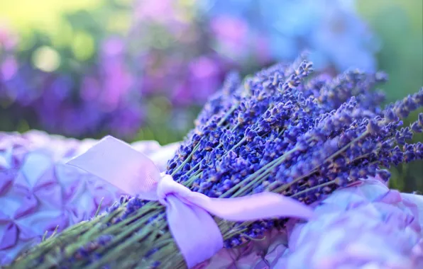 Picture mood, ribbon, a bunch, lavender, bokeh
