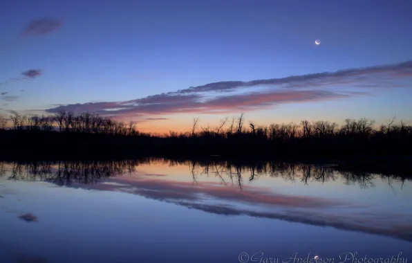 The sky, water, clouds, trees, surface, reflection, the moon, shore