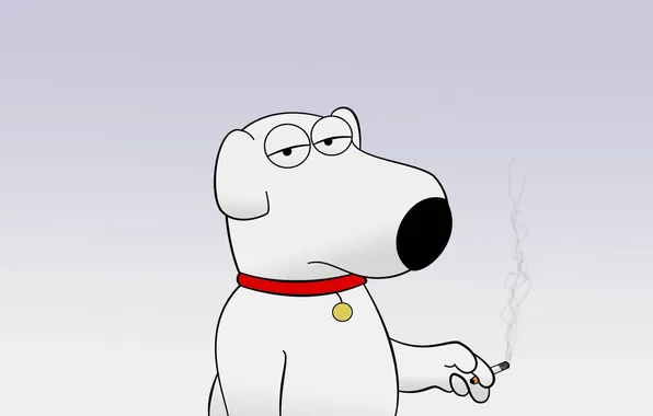 Picture cigarette, Family Guy, Brian Griffin, Brian Griffin