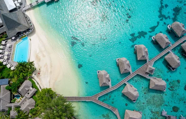 Beach, tropics, palm trees, the ocean, pool, the hotel, resort, Moorea