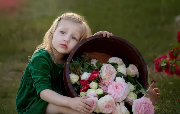 Picture grass, flowers, nature, roses, barefoot, girl, barrel, child