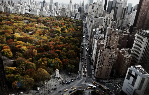 City, USA, sky, cars, trees, new york, clouds, amazing