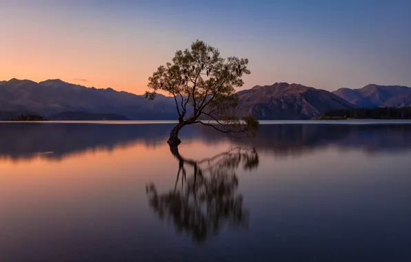 Picture mountains, birds, lake, the evening, New Zealand