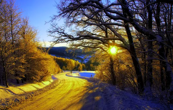 Picture winter, road, forest, the sky, snow, trees, landscape, nature