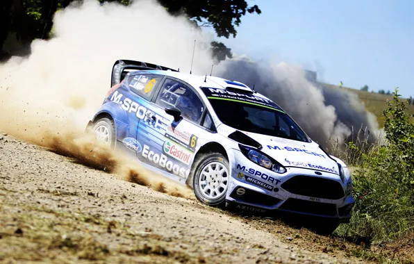 Picture Ford, Dust, Skid, WRC, Rally, Rally, Fiesta, Poland