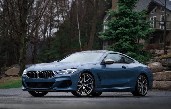 Rain, coupe, BMW, 2018, 8-Series, 2019, pale blue, M850i xDrive