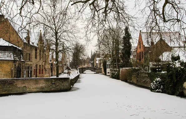 Picture Frozen, river, winter, Belgium, Brugge