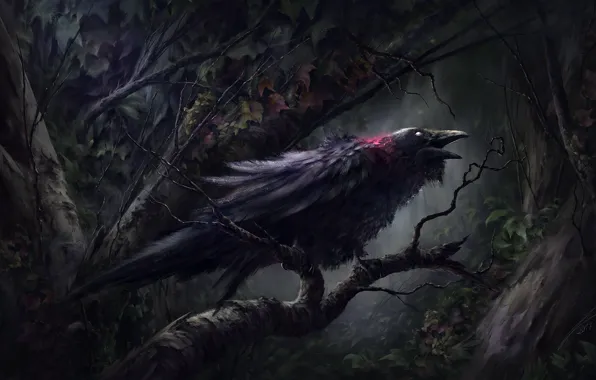 Picture blood, dark forest, in the dark, damn place, black Raven