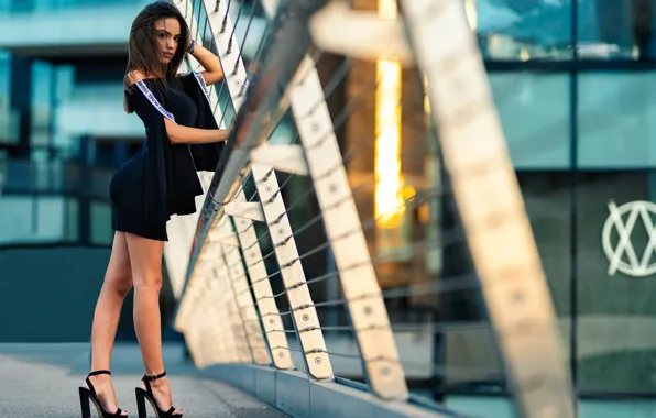 Look, pose, portrait, makeup, figure, dress, hairstyle, shoes