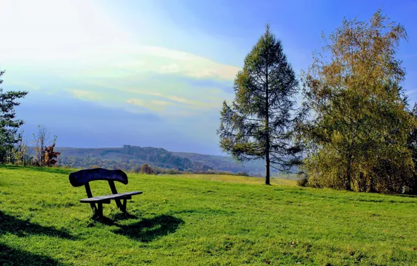 Trees, relax, glade, resort, bench, Hungary, Orfű