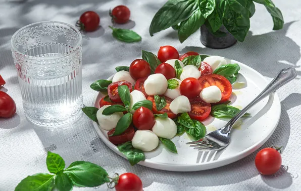 Light, table, cheese, plate, drink, plug, tomatoes, salad