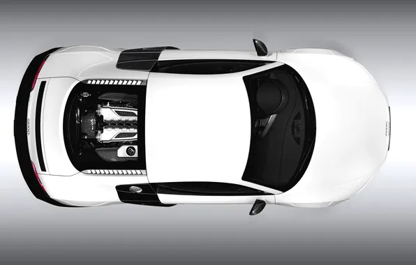 Picture Audi, White, The view from the top, V10, Coupe, Sports car