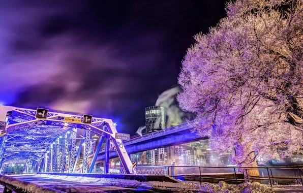 Night, Calgary, Langevin Bridge