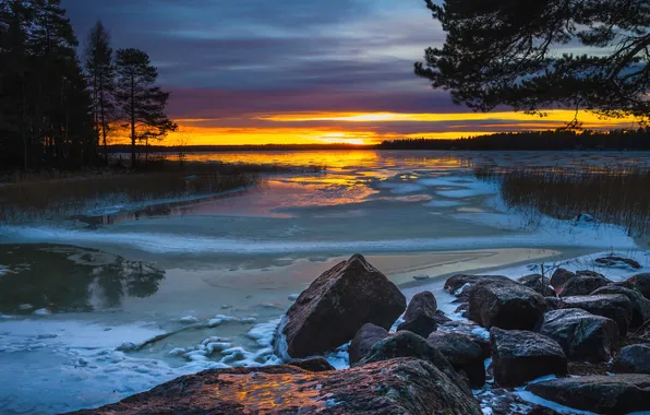 Forest, the sky, clouds, trees, lake, stones, glow