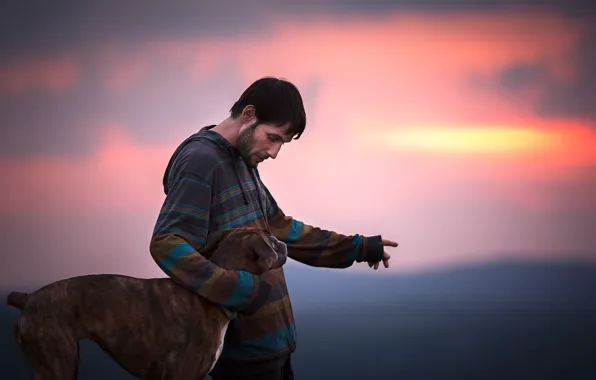People, dog, friends