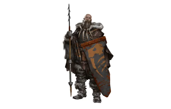 Weapons, warrior, spear, shield