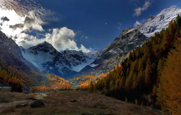 Autumn, trees, mountains, valley, Alps, Italy, Italy, Alps