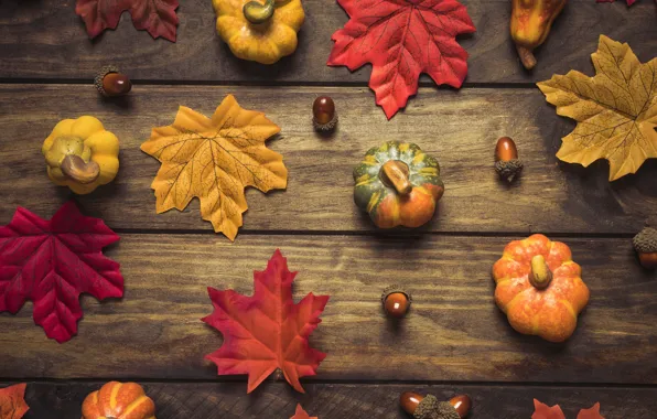 Autumn, leaves, background, tree, colorful, pumpkin, Board, wood