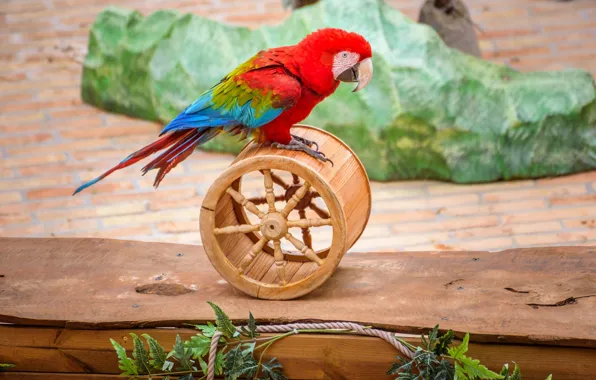 Picture leaves, red, bright, background, bird, stone, tile, toy