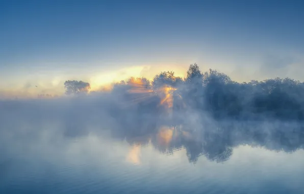 Picture forest, the sky, clouds, trees, landscape, nature, fog, lake