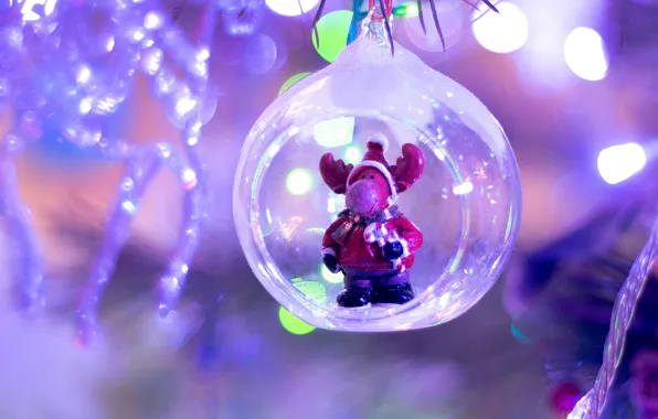 Light, lights, transparent, glare, Shine, blur, ball, deer
