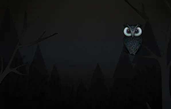 Trees, branches, owl