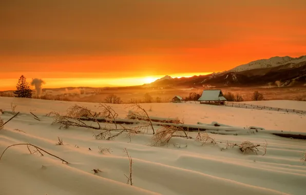 Picture winter, dawn, High Tatras