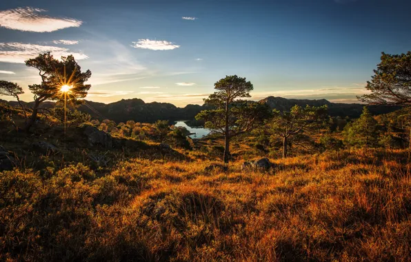 Landscape, autumn, norway