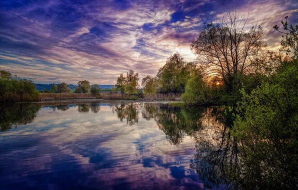Water, the sun, clouds, trees, reflection, river, the evening