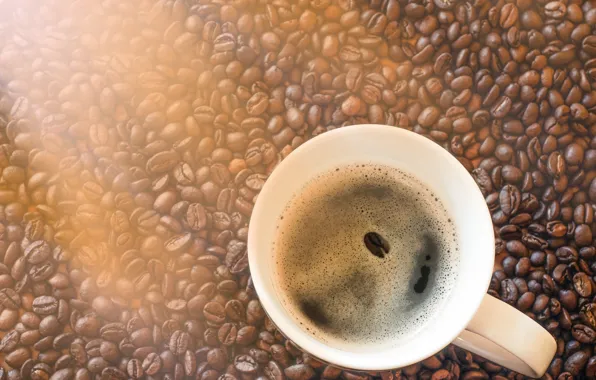 The sun, light, dawn, coffee, Moscow, morning, light, brown