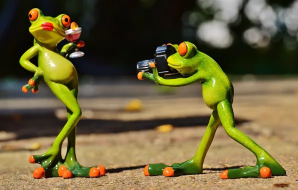 Model, toys, frog, camera, frogs, photographer, figures, frog