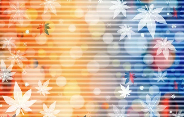 Postcard, template, blank