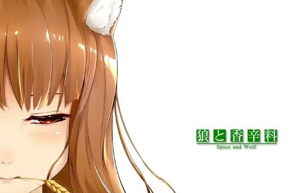 Face, white background, red, ears, spice and wolf, spike, horo, bangs