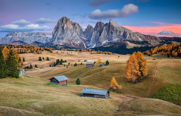 Autumn, forest, mountains, hills, field, Alps, houses