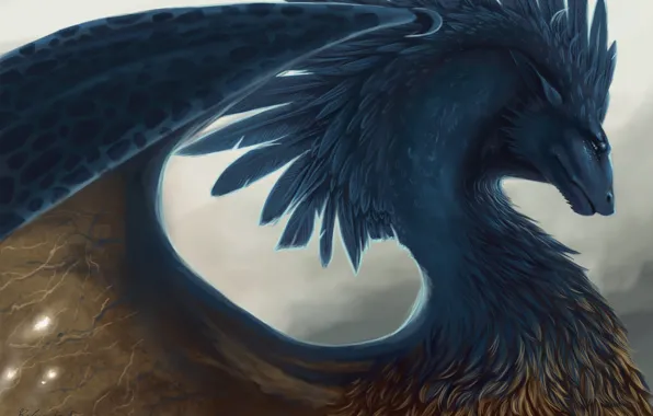 Picture dragon, feathers, fantasy, art, Eragon