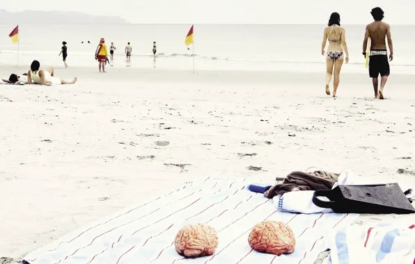 Picture Beach, Summer, Brain