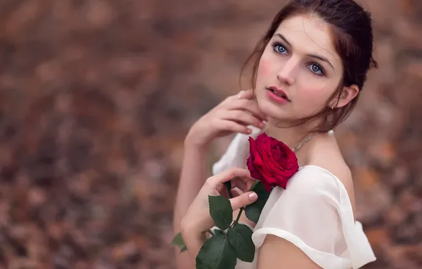 Look, face, roses, dress, gesture