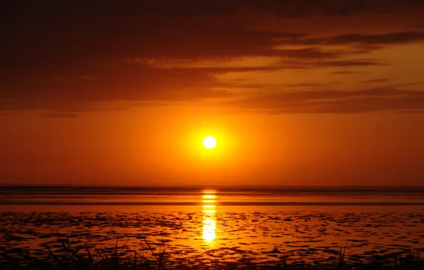 Picture the sun, sunset, Bay, braid, Berdyansk