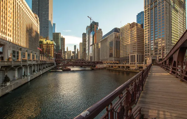 Picture the city, river, skyscrapers, morning, Chicago, USA, bridges, Il
