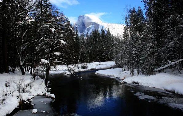 Winter, forest, snow, trees, mountains, river