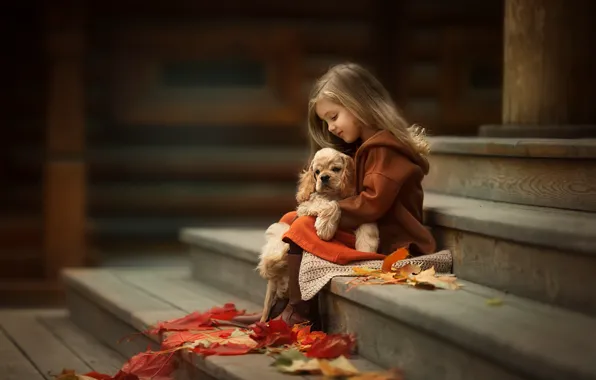 Picture friendship, ladder, girl, puppy, Spaniel