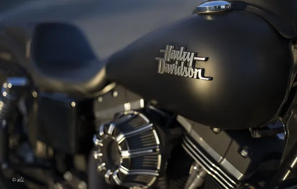 Background, motorcycle, Harley Davidson