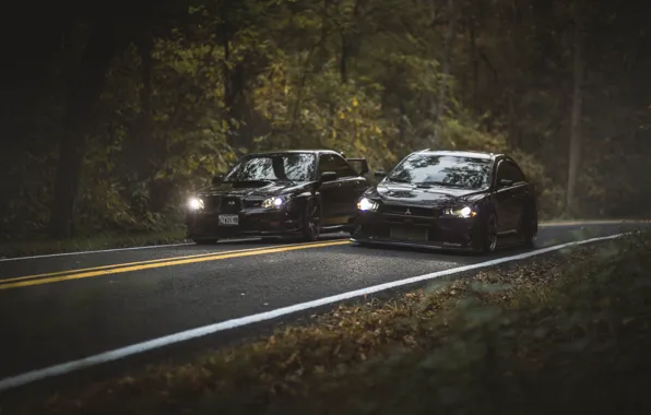 Picture road, autumn, forest, leaves, trees, foliage, lights, Subaru