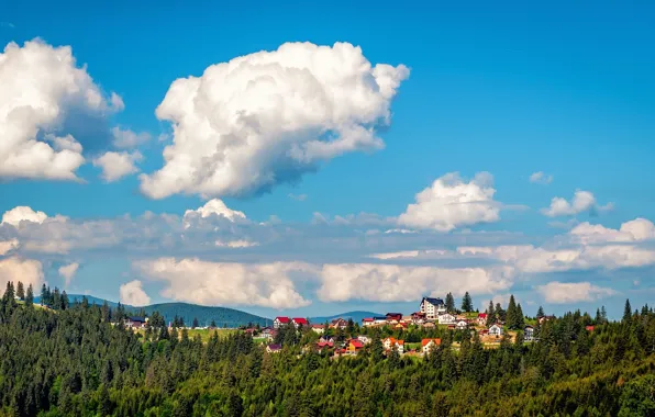 Forest, clouds, panorama, Romania, Romania, Transylvania, Transylvania, The distance starting with